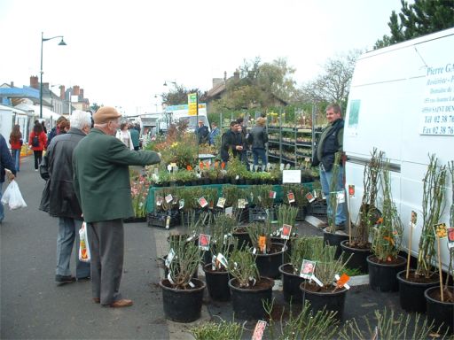 2004foireveg19.jpg