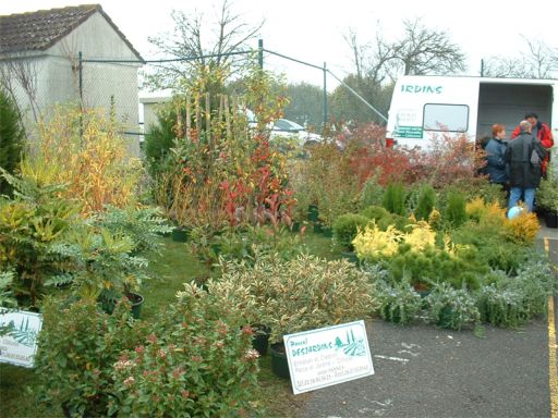 2004foireveg8.jpg